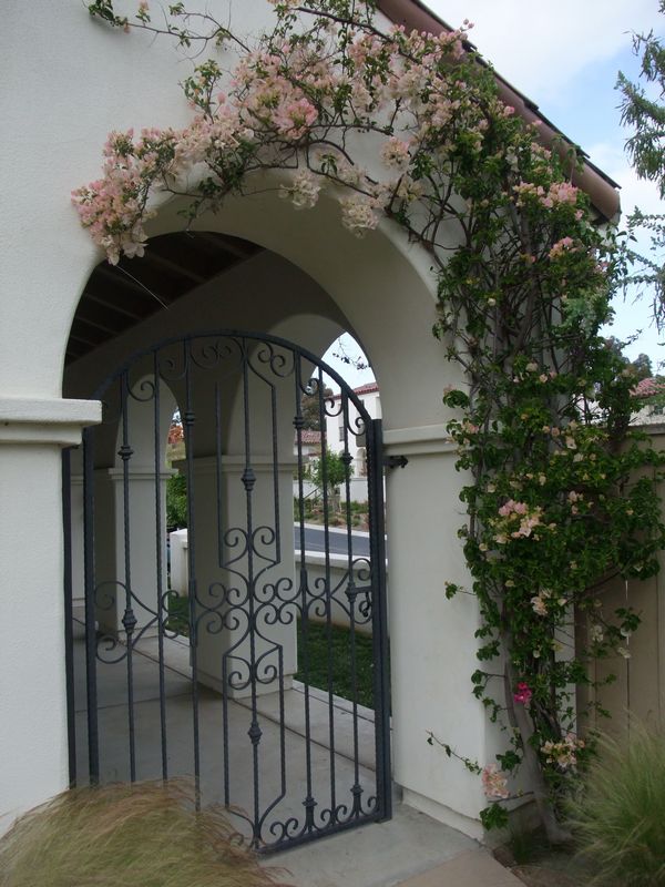 Giàn hoa giấy dịu êm